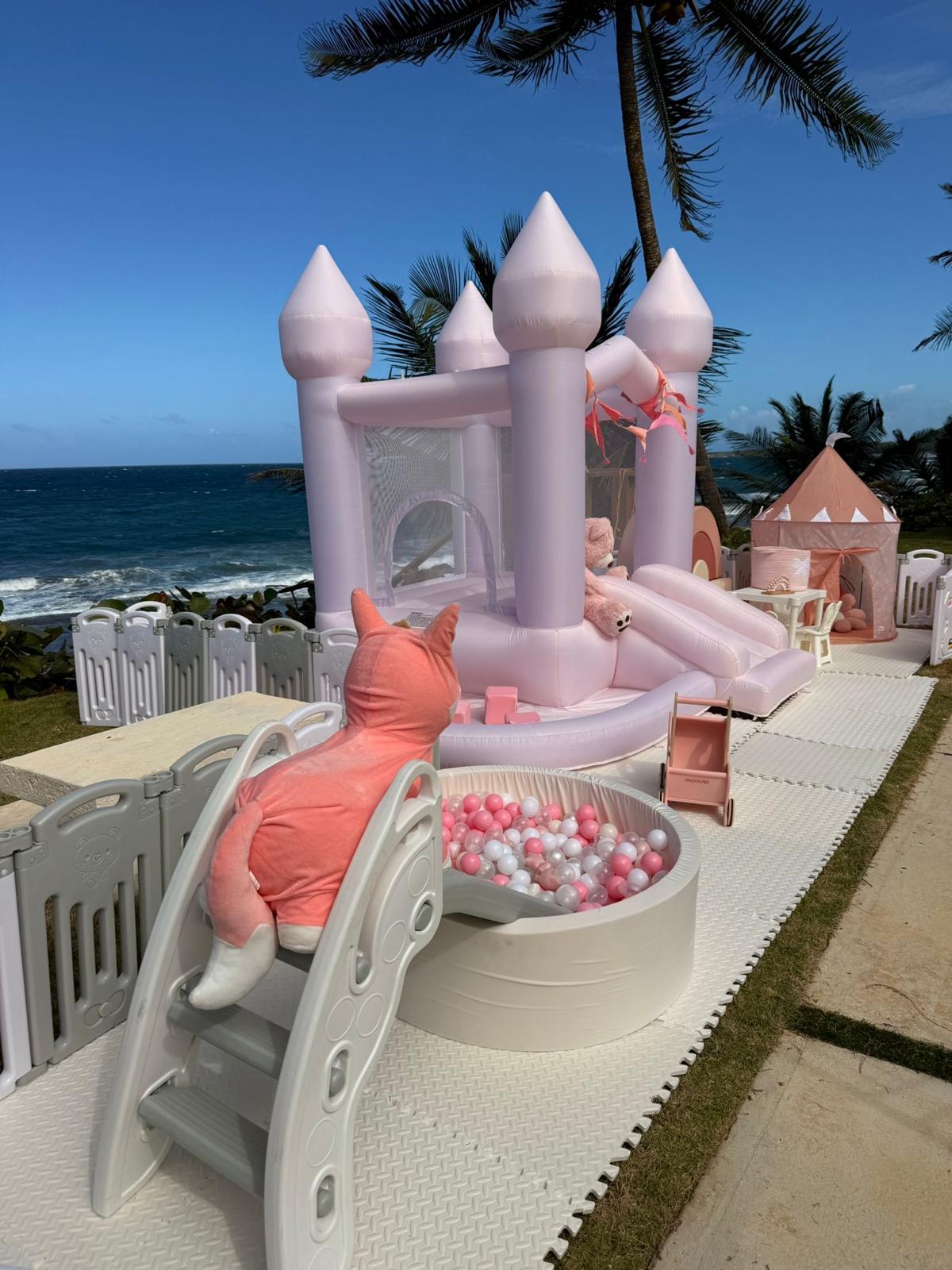 Little Pink Luxe Playground